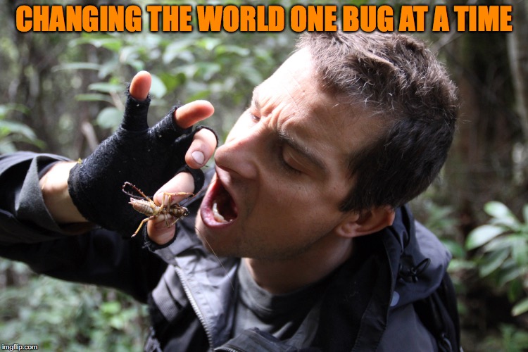 CHANGING THE WORLD ONE BUG AT A TIME | made w/ Imgflip meme maker