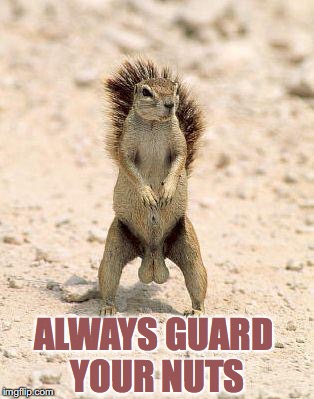 ALWAYS GUARD YOUR NUTS | made w/ Imgflip meme maker
