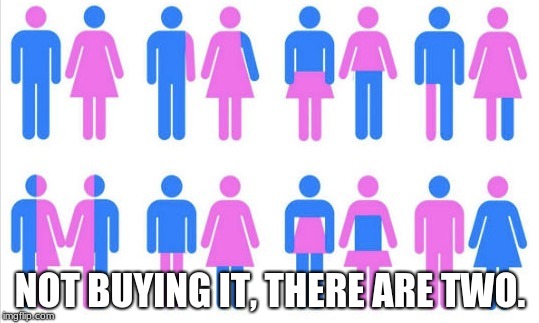 Gender chart 58 genders | NOT BUYING IT, THERE ARE TWO. | image tagged in gender chart 58 genders | made w/ Imgflip meme maker