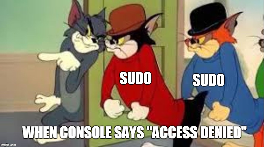 Tom and Jerry Goons | SUDO; SUDO; WHEN CONSOLE SAYS "ACCESS DENIED" | image tagged in tom and jerry goons | made w/ Imgflip meme maker