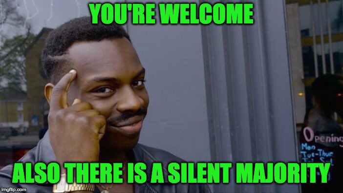 Roll Safe Think About It Meme | YOU'RE WELCOME ALSO THERE IS A SILENT MAJORITY | image tagged in memes,roll safe think about it | made w/ Imgflip meme maker