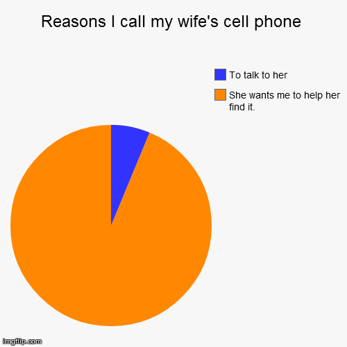 image tagged in funny,pie charts,pics | made w/ Imgflip chart maker