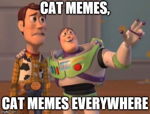 The front page right now | CAT MEMES, CAT MEMES EVERYWHERE | image tagged in memes,x x everywhere,cats,front page | made w/ Imgflip meme maker