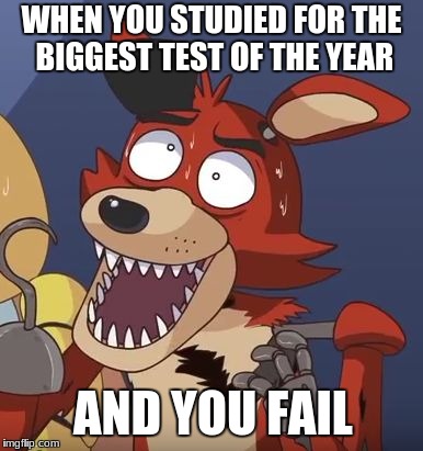 Five Nights at Freddy's Fox | WHEN YOU STUDIED FOR THE BIGGEST TEST OF THE YEAR; AND YOU FAIL | image tagged in five nights at freddy's fox | made w/ Imgflip meme maker