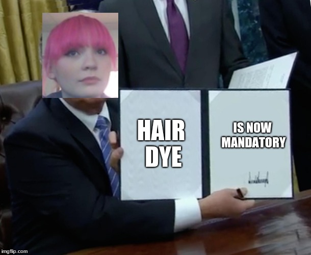 Everyone Must Now Dye Their Hair | HAIR DYE; IS NOW MANDATORY | image tagged in memes,trump bill signing | made w/ Imgflip meme maker