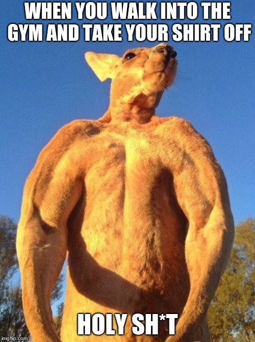 Do you even lift kangaroo | WHEN YOU WALK INTO THE GYM AND TAKE YOUR SHIRT OFF; HOLY SH*T | image tagged in do you even lift kangaroo | made w/ Imgflip meme maker