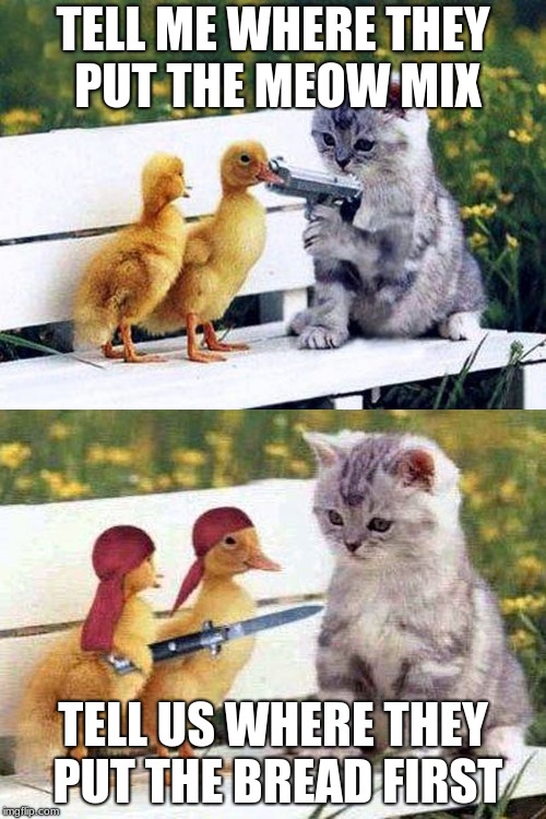 I'm extending cat weekend ;)  Cat Weekend, May 11-13, a Landon_the_memer, 1forpeace, and JBmemegeek event | TELL ME WHERE THEY PUT THE MEOW MIX; TELL US WHERE THEY PUT THE BREAD FIRST | image tagged in cats,vs,ducks,cat weekend | made w/ Imgflip meme maker