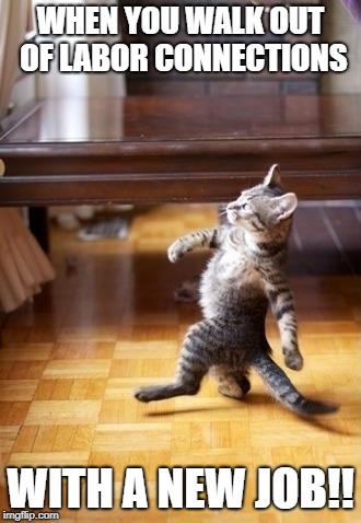 Cool Cat Stroll Meme | WHEN YOU WALK OUT OF LABOR CONNECTIONS; WITH A NEW JOB!! | image tagged in memes,cool cat stroll | made w/ Imgflip meme maker
