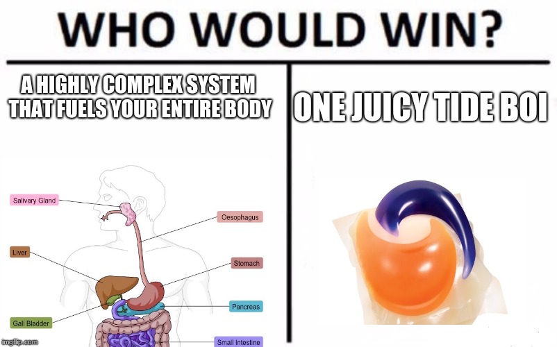 Who Would Win? | A HIGHLY COMPLEX SYSTEM THAT FUELS YOUR ENTIRE BODY; ONE JUICY TIDE BOI | image tagged in memes,who would win | made w/ Imgflip meme maker
