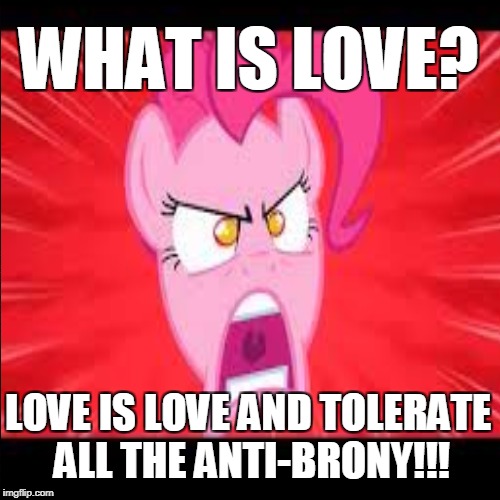 WHAT IS LOVE? LOVE IS LOVE AND TOLERATE ALL THE ANTI-BRONY!!! | image tagged in memes | made w/ Imgflip meme maker
