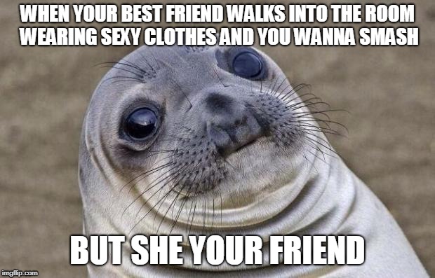 Awkward Moment Sealion | WHEN YOUR BEST FRIEND WALKS INTO THE ROOM WEARING SEXY CLOTHES AND YOU WANNA SMASH; BUT SHE YOUR FRIEND | image tagged in memes,awkward moment sealion | made w/ Imgflip meme maker