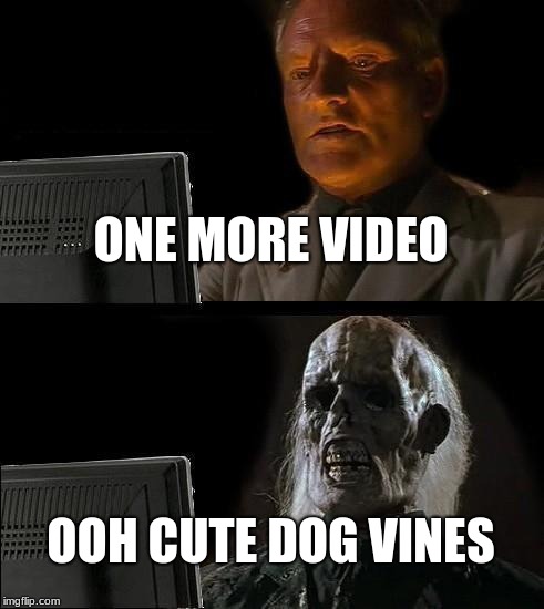 I'll Just Wait Here | ONE MORE VIDEO; OOH CUTE DOG VINES | image tagged in memes,ill just wait here | made w/ Imgflip meme maker