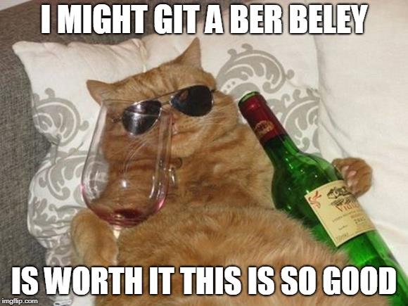 happy cat week immakeing memes for the holaday | I MIGHT GIT A BER BELEY; IS WORTH IT THIS IS SO GOOD | image tagged in funny cat birthday | made w/ Imgflip meme maker
