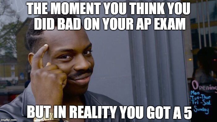 Roll Safe Think About It Meme | THE MOMENT YOU THINK YOU DID BAD
ON YOUR AP EXAM; BUT IN REALITY YOU GOT A 5 | image tagged in memes,roll safe think about it | made w/ Imgflip meme maker