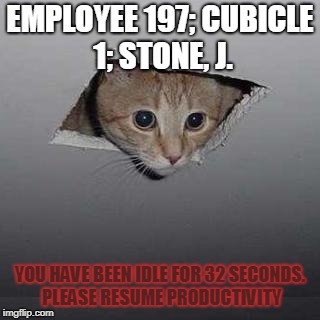 Ceiling Cat | EMPLOYEE 197; CUBICLE 1; STONE, J. YOU HAVE BEEN IDLE FOR 32 SECONDS. PLEASE RESUME PRODUCTIVITY | image tagged in memes,ceiling cat | made w/ Imgflip meme maker