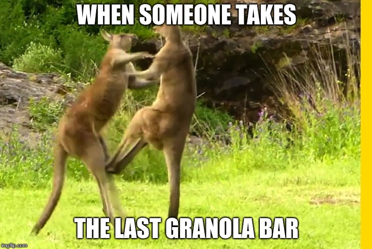 Kangaroo Granola Bar | WHEN SOMEONE TAKES; THE LAST GRANOLA BAR | image tagged in kangaroo fight,memes | made w/ Imgflip meme maker