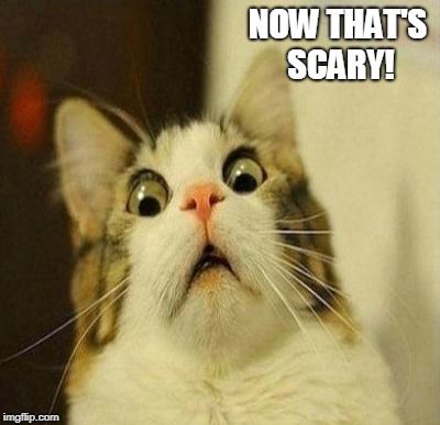 NOW THAT'S SCARY! | made w/ Imgflip meme maker
