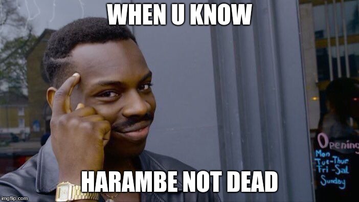 Roll Safe Think About It | WHEN U KNOW; HARAMBE NOT DEAD | image tagged in memes,roll safe think about it | made w/ Imgflip meme maker