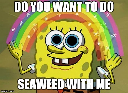 Imagination Spongebob Meme | DO YOU WANT TO DO; SEAWEED WITH ME | image tagged in memes,imagination spongebob | made w/ Imgflip meme maker