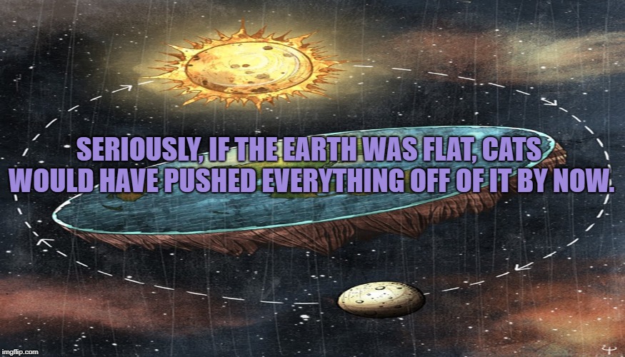 flat earth | SERIOUSLY, IF THE EARTH WAS FLAT, CATS WOULD HAVE PUSHED EVERYTHING OFF OF IT BY NOW. | image tagged in flat earth,cats,funny,memes,funny memes | made w/ Imgflip meme maker