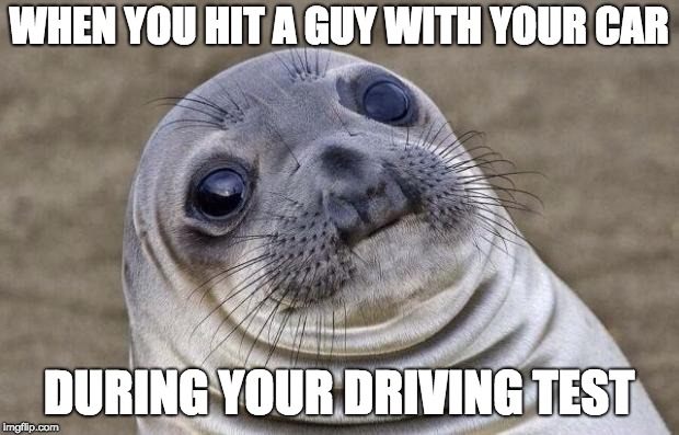 Bad Luck Sealion | WHEN YOU HIT A GUY WITH YOUR CAR; DURING YOUR DRIVING TEST | image tagged in memes,awkward moment sealion | made w/ Imgflip meme maker