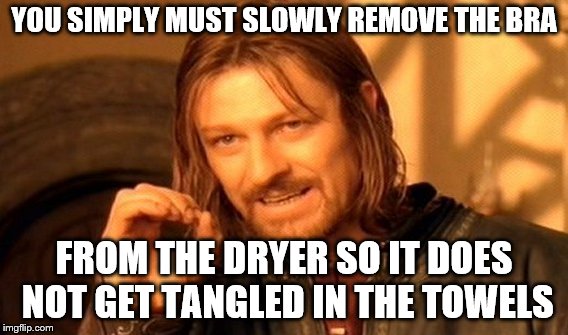 Romance novel? | YOU SIMPLY MUST SLOWLY REMOVE THE BRA; FROM THE DRYER SO IT DOES NOT GET TANGLED IN THE TOWELS | image tagged in memes,one does not simply | made w/ Imgflip meme maker