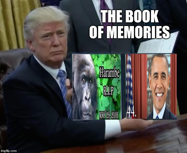Trump Bill Signing Meme | THE BOOK OF MEMORIES | image tagged in memes,trump bill signing | made w/ Imgflip meme maker