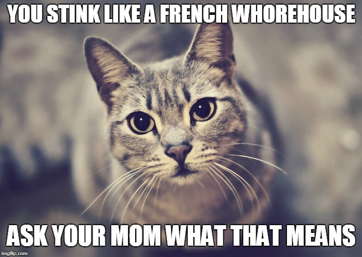 YOU STINK LIKE A FRENCH W**REHOUSE ASK YOUR MOM WHAT THAT MEANS | made w/ Imgflip meme maker