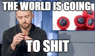 Brasberries, the world is going to shit | THE WORLD IS GOING; TO SHIT | image tagged in brasberries,i don't want to live on this planet anymore | made w/ Imgflip meme maker