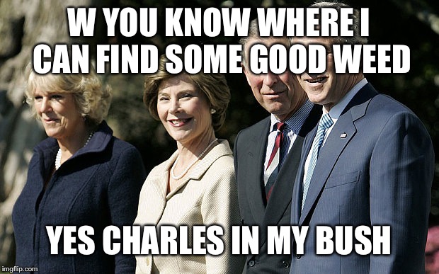 Prince Charles  | W YOU KNOW WHERE I CAN FIND SOME GOOD WEED; YES CHARLES IN MY BUSH | image tagged in prince charles,queen elizabeth,george w bush,smoke weed everyday,big smoke | made w/ Imgflip meme maker
