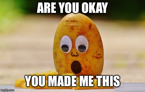 Potato fries | ARE YOU OKAY; YOU MADE ME THIS | image tagged in potato fries | made w/ Imgflip meme maker