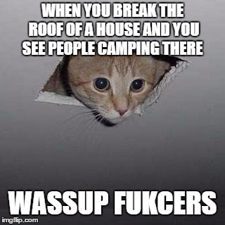 Ceiling Cat Meme | WHEN YOU BREAK THE ROOF OF A HOUSE AND YOU SEE PEOPLE CAMPING THERE; WASSUP FUKCERS | image tagged in memes,ceiling cat | made w/ Imgflip meme maker