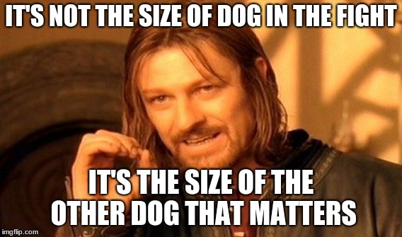 One Does Not Simply Meme | IT'S NOT THE SIZE OF DOG IN THE FIGHT; IT'S THE SIZE OF THE OTHER DOG THAT MATTERS | image tagged in memes,one does not simply | made w/ Imgflip meme maker