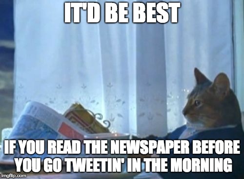 I Should Buy A Boat Cat Meme | IT'D BE BEST; IF YOU READ THE NEWSPAPER BEFORE YOU GO TWEETIN' IN THE MORNING | image tagged in memes,i should buy a boat cat | made w/ Imgflip meme maker