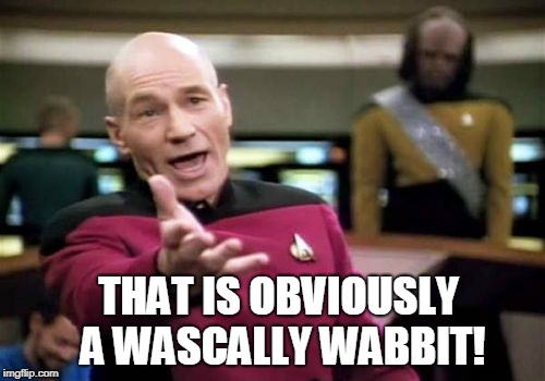 Picard Wtf Meme | THAT IS OBVIOUSLY A WASCALLY WABBIT! | image tagged in memes,picard wtf | made w/ Imgflip meme maker