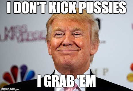 I DON'T KICK PUSSIES I GRAB 'EM | made w/ Imgflip meme maker