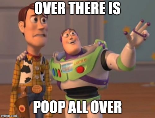 X, X Everywhere Meme | OVER THERE IS; POOP ALL OVER | image tagged in memes,x x everywhere | made w/ Imgflip meme maker