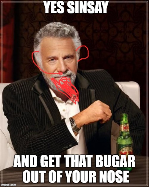 The Most Interesting Man In The World Meme | YES SINSAY; AND GET THAT BUGAR OUT OF YOUR NOSE | image tagged in memes,the most interesting man in the world | made w/ Imgflip meme maker