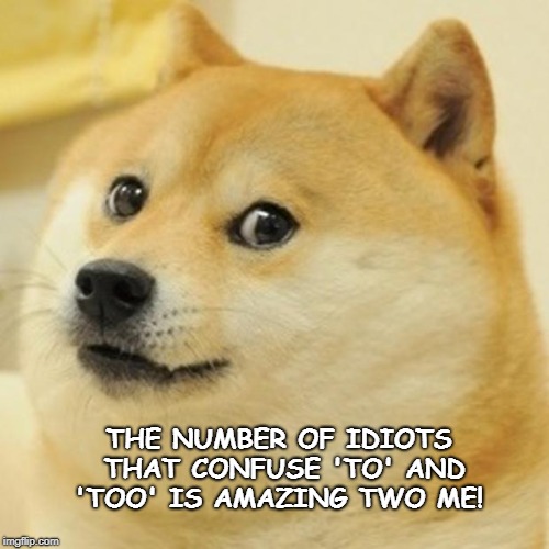 Doge | THE NUMBER OF IDIOTS THAT CONFUSE 'TO' AND 'TOO' IS AMAZING TWO ME! | image tagged in memes,doge | made w/ Imgflip meme maker