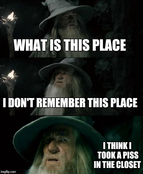 Confused Gandalf | WHAT IS THIS PLACE; I DON'T REMEMBER THIS PLACE; I THINK I TOOK A PISS IN THE CLOSET | image tagged in memes,confused gandalf | made w/ Imgflip meme maker