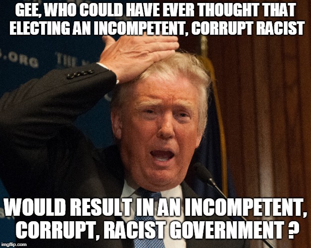 GEE, WHO COULD HAVE EVER THOUGHT THAT ELECTING AN INCOMPETENT, CORRUPT RACIST; WOULD RESULT IN AN INCOMPETENT, CORRUPT, RACIST GOVERNMENT ? | image tagged in trump | made w/ Imgflip meme maker