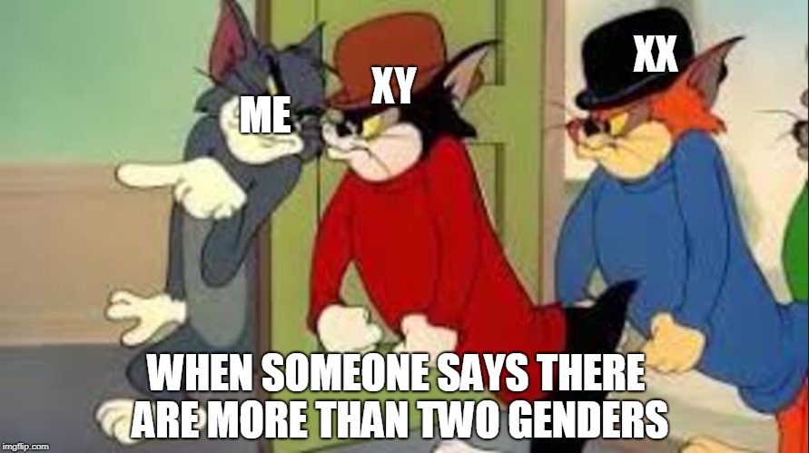 Tom and Jerry Goons | XY; XX; ME; WHEN SOMEONE SAYS THERE ARE MORE THAN TWO GENDERS | image tagged in tom and jerry goons | made w/ Imgflip meme maker