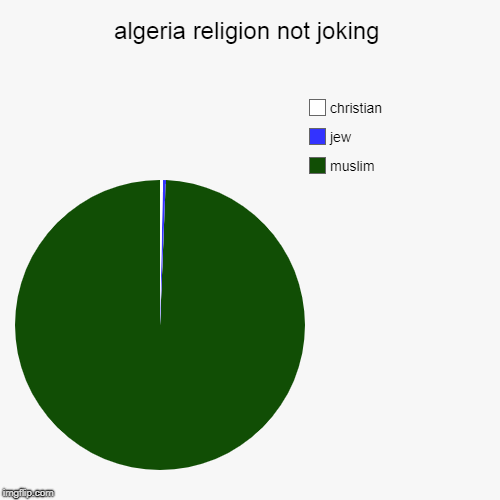 algeria religion not joking | muslim, jew, christian | image tagged in pie charts | made w/ Imgflip chart maker