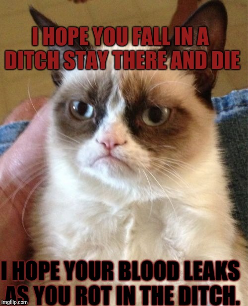 my cuosin made it. I cant read most of it | I HOPE YOU FALL IN A DITCH STAY THERE AND DIE; I HOPE YOUR BLOOD LEAKS AS YOU ROT IN THE DITCH. | image tagged in memes,grumpy cat | made w/ Imgflip meme maker