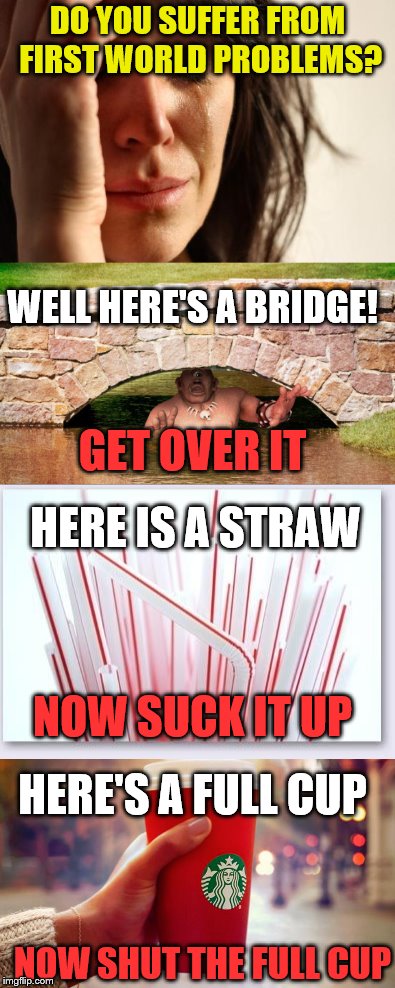 End the suffering | DO YOU SUFFER FROM FIRST WORLD PROBLEMS? WELL HERE'S A BRIDGE! GET OVER IT; HERE IS A STRAW; NOW SUCK IT UP; HERE'S A FULL CUP; NOW SHUT THE FULL CUP | image tagged in first world problems,bridge,straw,cup | made w/ Imgflip meme maker