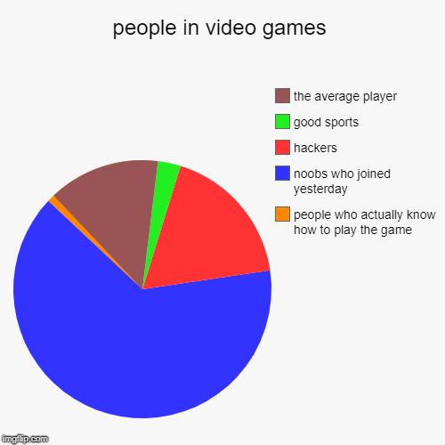 people in video games | people who actually know how to play the game, noobs who joined yesterday, hackers, good sports, the average player | image tagged in funny,pie charts | made w/ Imgflip chart maker