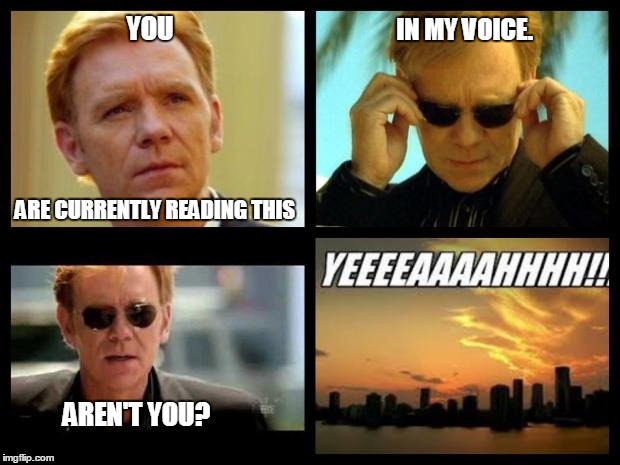 CSI | YOU; IN MY VOICE. ARE CURRENTLY READING THIS; AREN'T YOU? | image tagged in csi | made w/ Imgflip meme maker