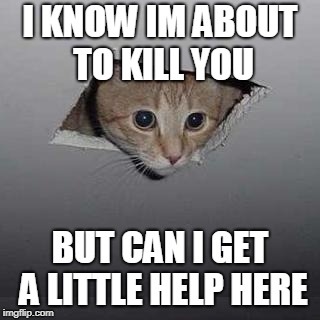 Ceiling Cat Meme | I KNOW IM ABOUT TO KILL YOU; BUT CAN I GET A LITTLE HELP HERE | image tagged in memes,ceiling cat | made w/ Imgflip meme maker