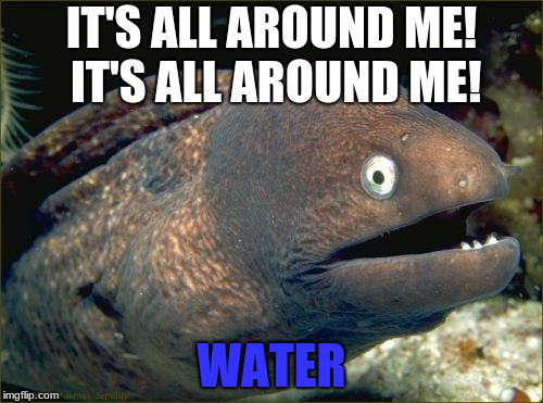 Bad Joke Eel Meme | IT'S ALL AROUND ME! IT'S ALL AROUND ME! WATER | image tagged in memes,bad joke eel,water,funny | made w/ Imgflip meme maker