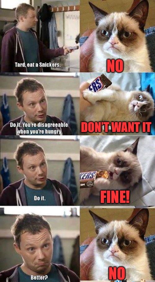 NO; DON’T WANT IT; FINE! NO | image tagged in tard eat a snickers,memes,i bet this wont feature,i bet tard is thinking about other memes | made w/ Imgflip meme maker